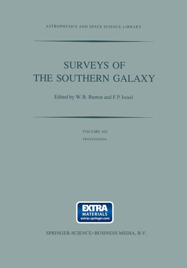 bokomslag Surveys of the Southern Galaxy