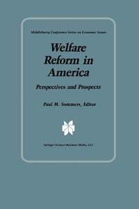bokomslag Welfare Reform in America