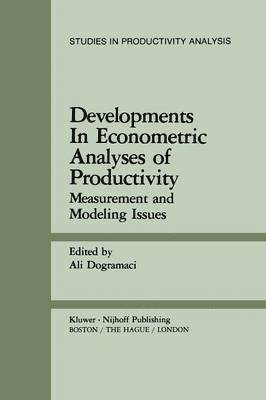 bokomslag Developments in Econometric Analyses of Productivity