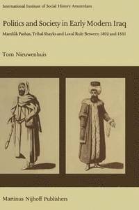 bokomslag Politics and Society in Early Modern Iraq