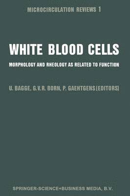 White Blood Cells 1