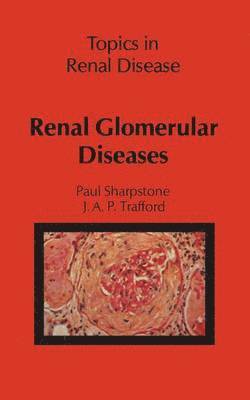 bokomslag Renal Glomerular Diseases