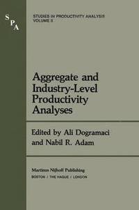 bokomslag Aggregate and Industry-Level Productivity Analyses
