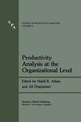 bokomslag Productivity Analysis at the Organizational Level