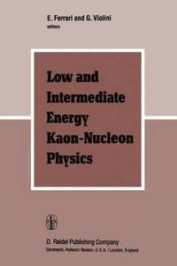 bokomslag Low and Intermediate Energy Kaon-Nucleon Physics
