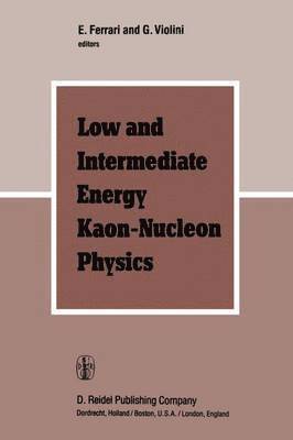Low and Intermediate Energy Kaon-Nucleon Physics 1