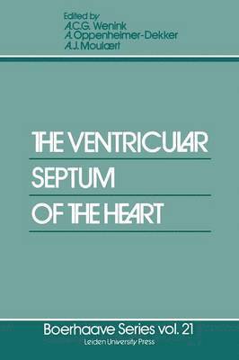 The Ventricular Septum of the Heart 1