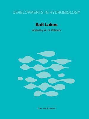 bokomslag Salt Lakes