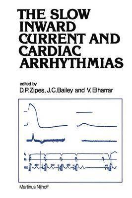 bokomslag The Slow Inward Current and Cardiac Arrhythmias