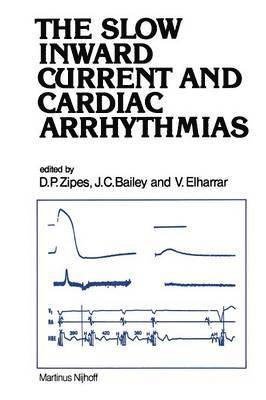 Slow Inward Current and Cardiac Arrhythmias