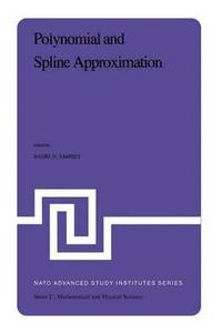 bokomslag Polynomial and Spline Approximation
