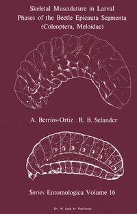 bokomslag Skeletal Musculature in Larval Phases of the Beetle Epicauta Segmenta (Coleoptera, Meloidae)