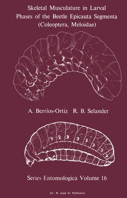 Skeletal Musculature in Larval Phases of the Beetle Epicauta Segmenta (Coleoptera, Meloidae) 1