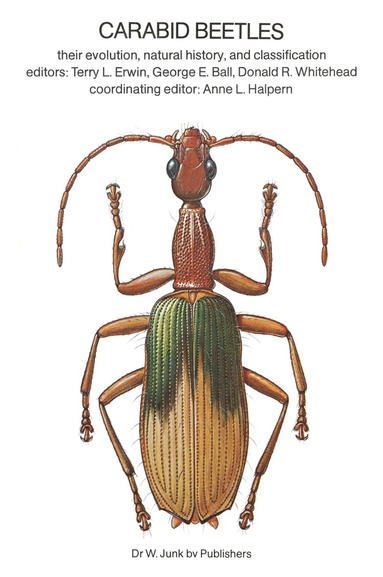 bokomslag Carabid Beetles