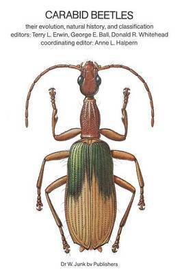 Carabid Beetles 1