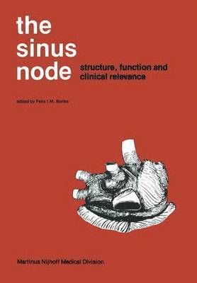 bokomslag Sinus Node