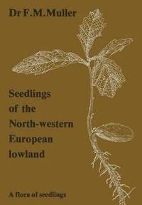 bokomslag Seedlings of the North-Western European Lowland