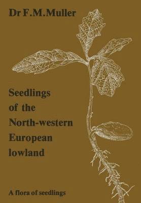 Seedlings of the North-Western European Lowland 1
