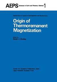 bokomslag Origin of Thermoremanent Magnetization