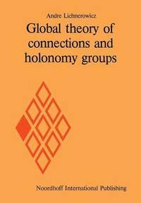 bokomslag Global theory of connections and holonomy groups