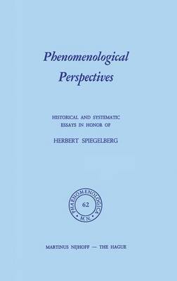 Phenomenological Perspectives 1