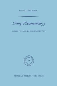 bokomslag Doing Phenomenology