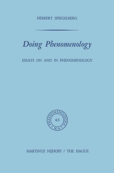 bokomslag Doing Phenomenology