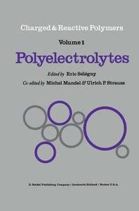 bokomslag Polyelectrolytes