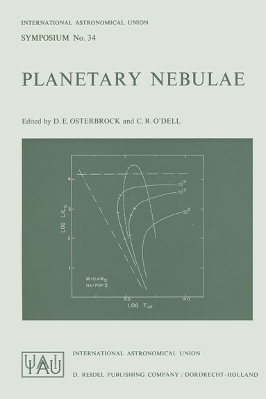 bokomslag Planetary Nebulae