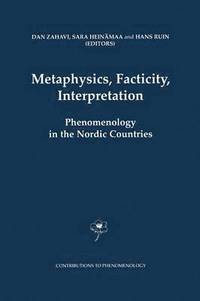 bokomslag Metaphysics, Facticity, Interpretation