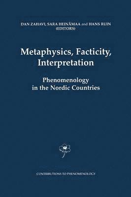 bokomslag Metaphysics, Facticity, Interpretation