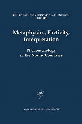 Metaphysics, Facticity, Interpretation 1