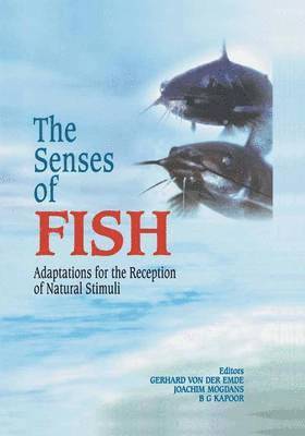 The Senses of Fish 1