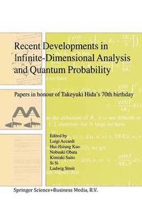 bokomslag Recent Developments in Infinite-Dimensional Analysis and Quantum Probability