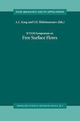 bokomslag IUTAM Symposium on Free Surface Flows