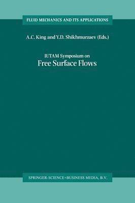 A.C. King, Y.D. Shikhmurzaev, A. C. King, Y. D. Shikhmurzaev - IUTAM Symposium on Free Surface Flows, Häftad