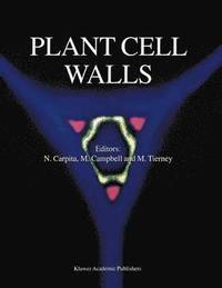 bokomslag Plant Cell Walls