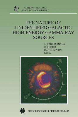 bokomslag The Nature of Unidentified Galactic High-Energy Gamma-Ray Sources