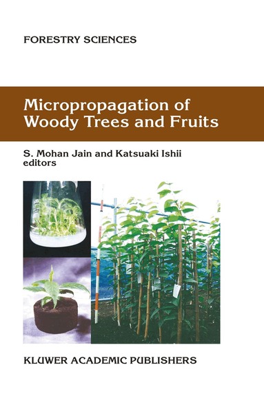 S.M. Jain, K. Ishii - Micropropagation of Woody Trees and Fruits, Häftad