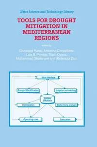 bokomslag Tools for Drought Mitigation in Mediterranean Regions