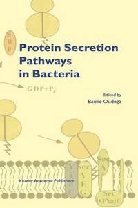 bokomslag Protein Secretion Pathways in Bacteria