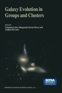 bokomslag Galaxy Evolution in Groups and Clusters