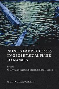 bokomslag Nonlinear Processes in Geophysical Fluid Dynamics