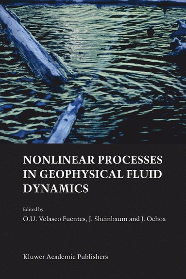 bokomslag Nonlinear Processes in Geophysical Fluid Dynamics