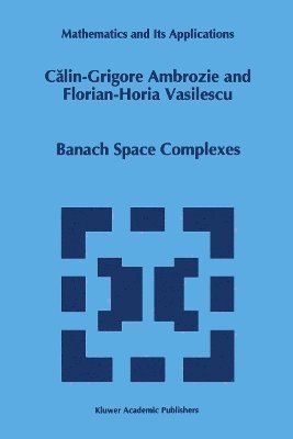 bokomslag Banach Space Complexes
