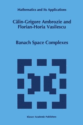 bokomslag Banach Space Complexes