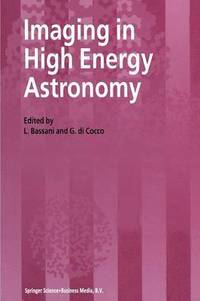 bokomslag Imaging in High Energy Astronomy