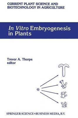 In Vitro Embryogenesis in Plants