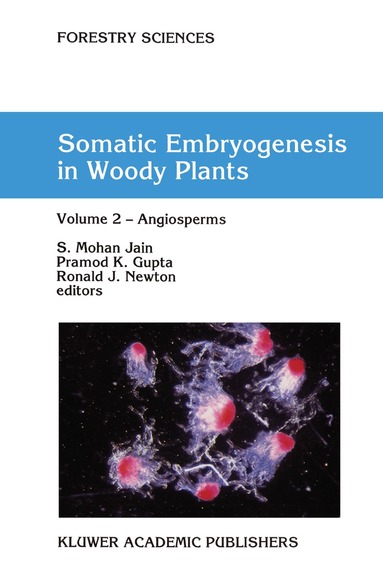S. Mohan Jain, Pramod P.K. Gupta, R.J. Newton - Somatic Embryogenesis in Woody Plants, Häftad