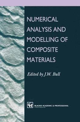 Numerical Analysis and Modelling of Composite Materials 1